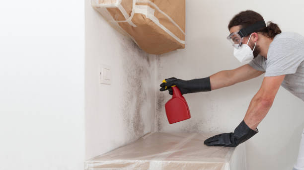 Professional Black Mold Removal technician working in South Orange, NJ