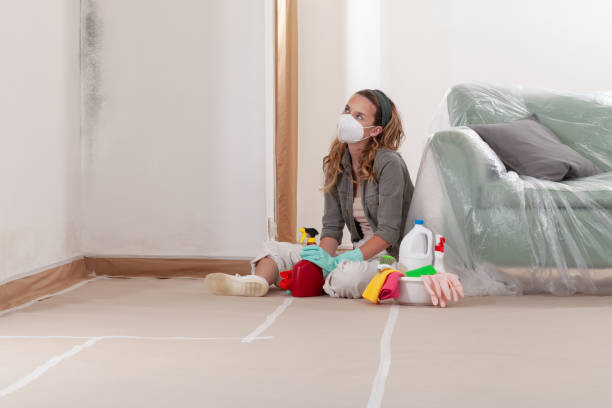 Reliable Black Mold Removal contractor in South Orange, NJ by WQB Mold Removal
